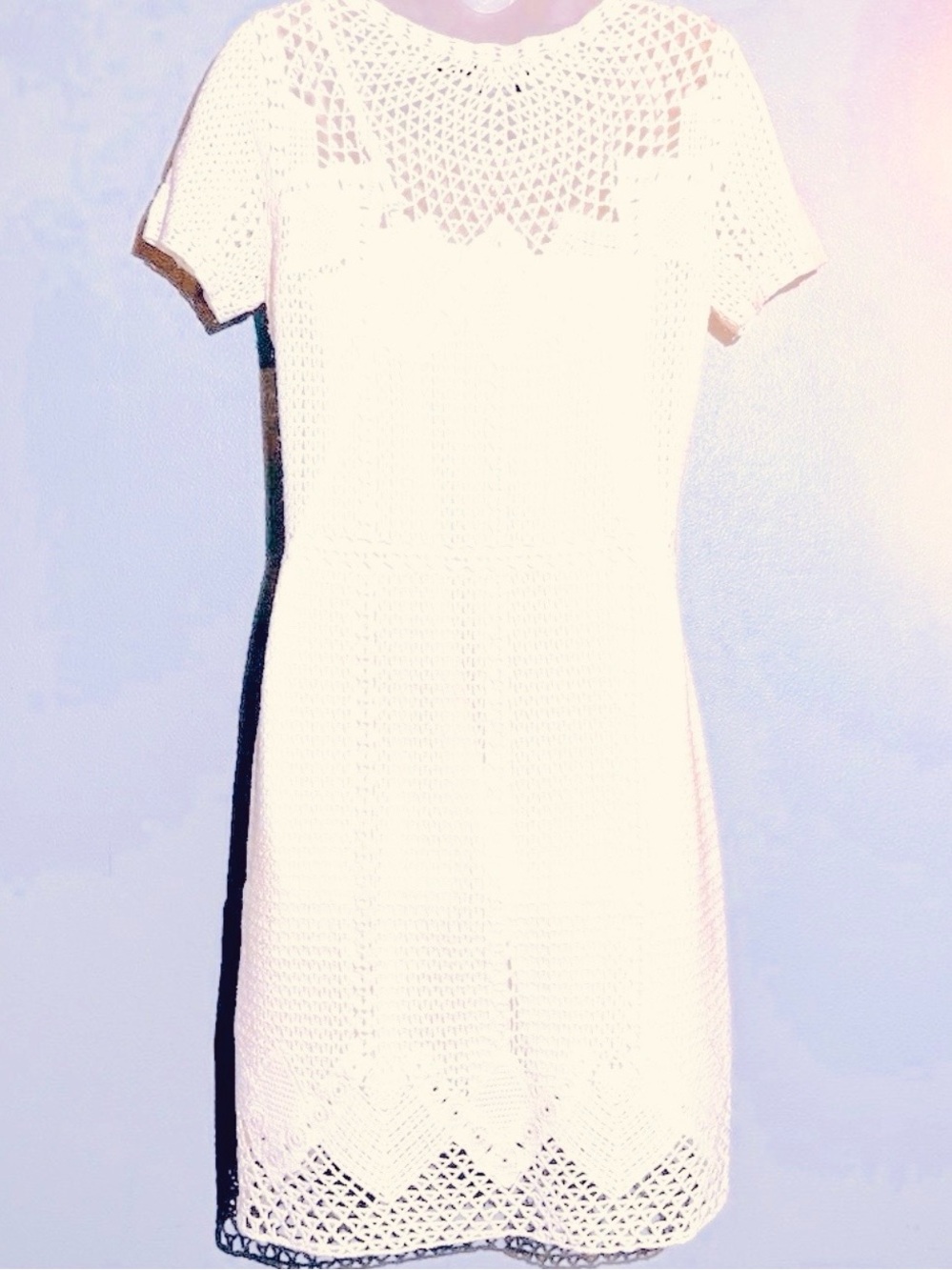 Lauren by Ralph Lauren Lace Dress with Slip. - Picture 3 of 7